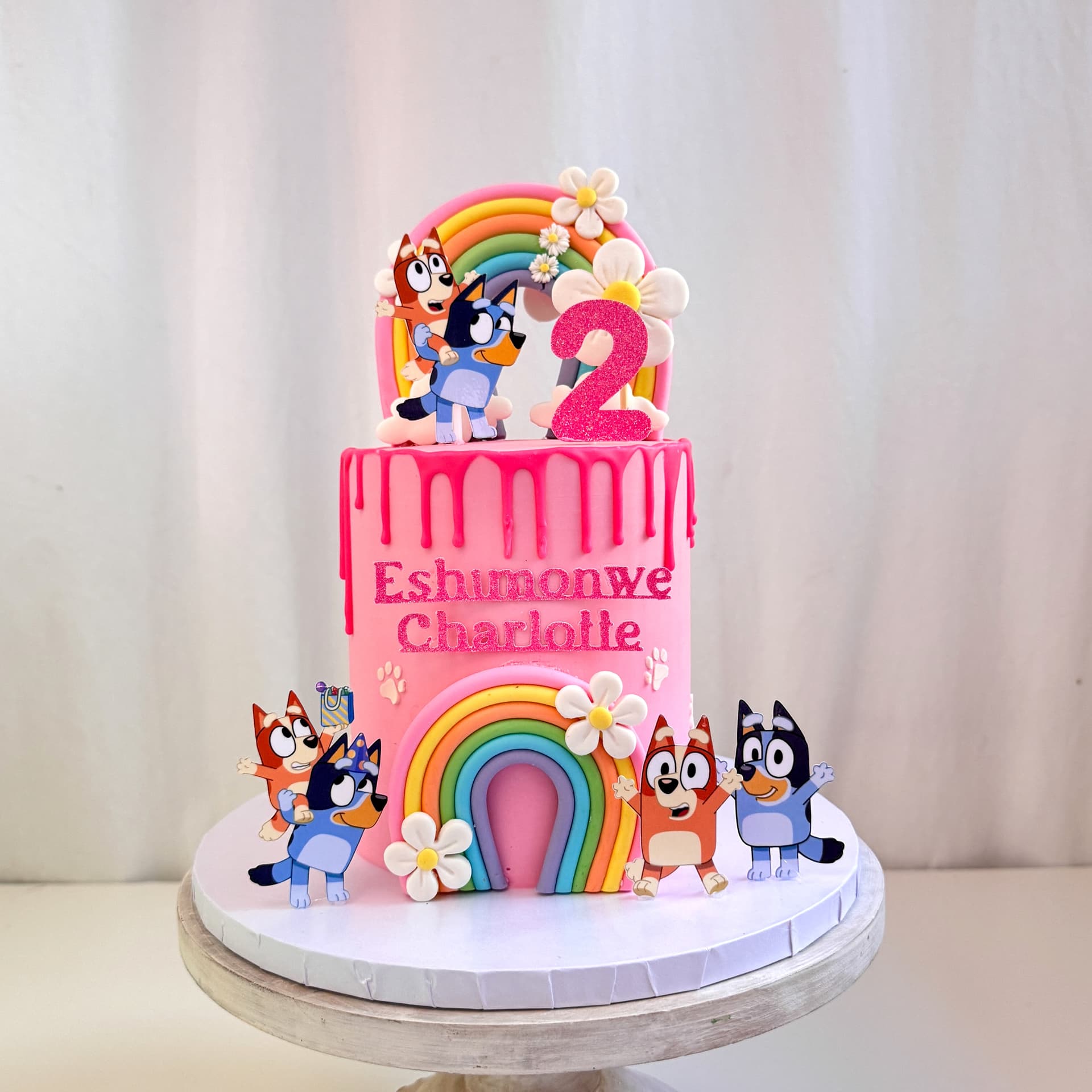 Bluey Cake — Shannon's Cake Shop