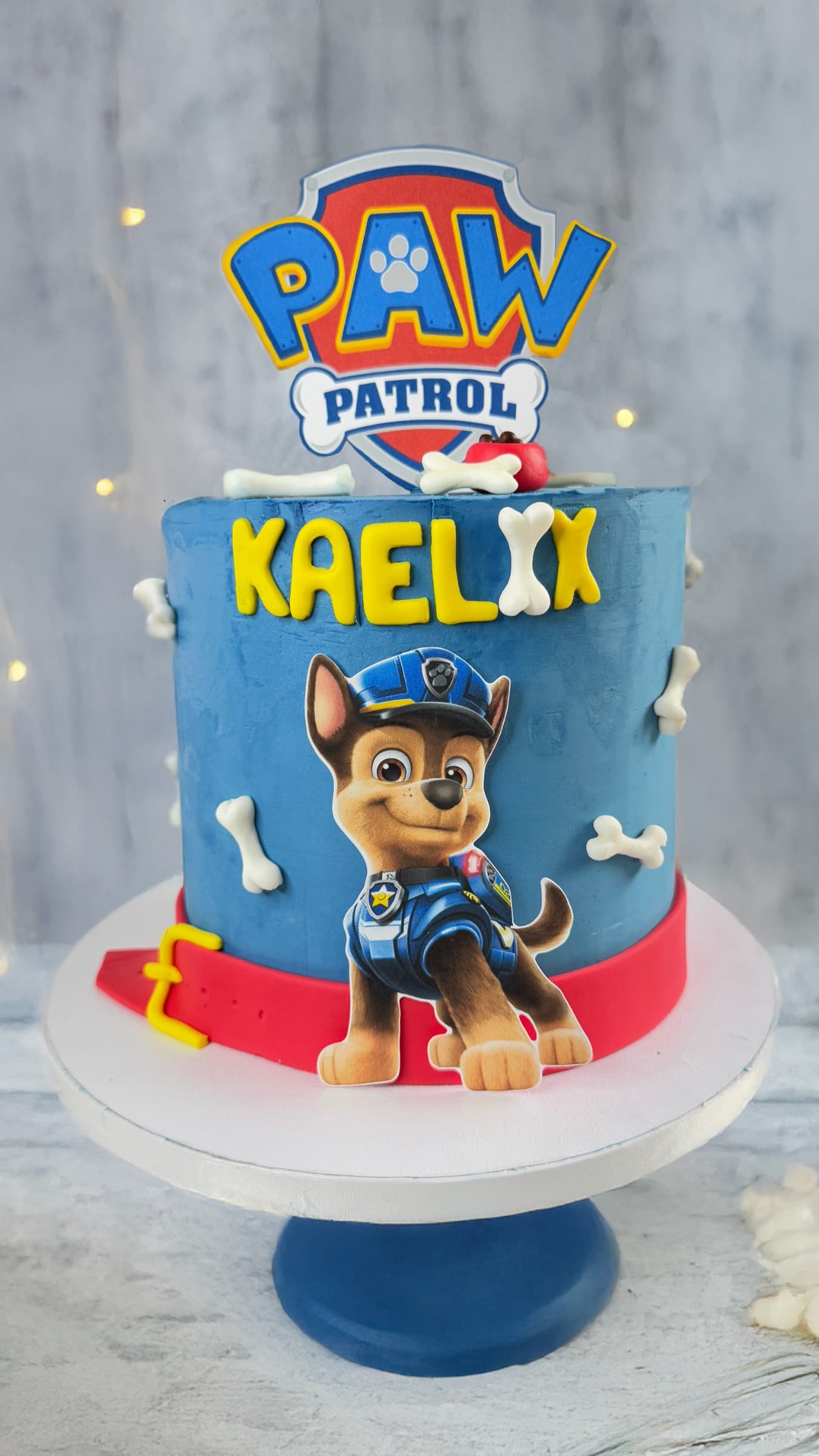 Paw Patrol Cake — Shannon's Cake Shop