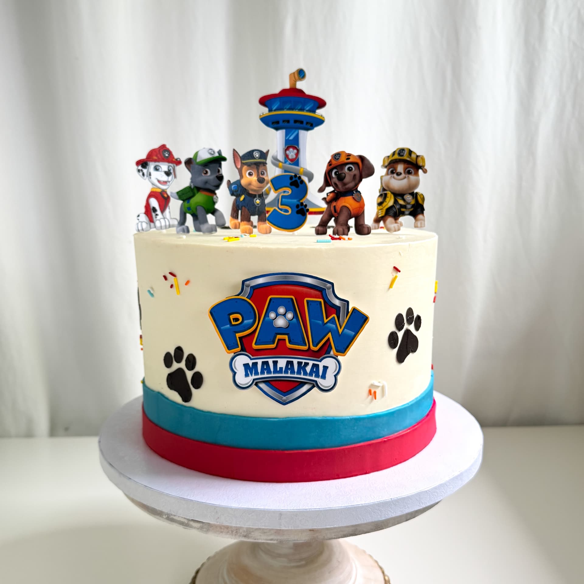 Paw Patrol Cake — Shannon's Cake Shop