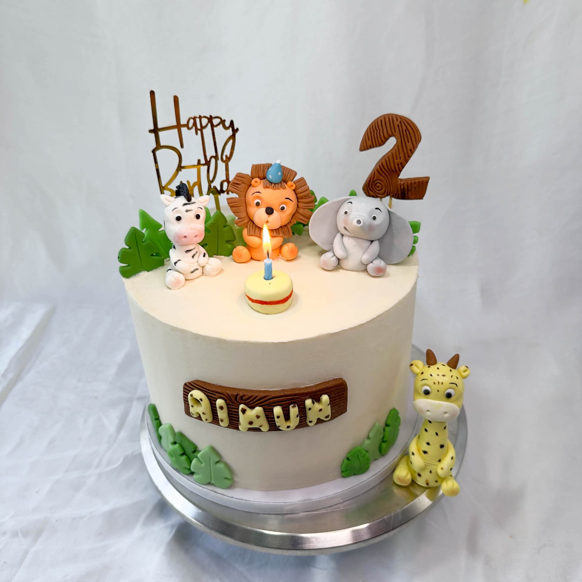 Safari Cake — Shannon's Cake Shop